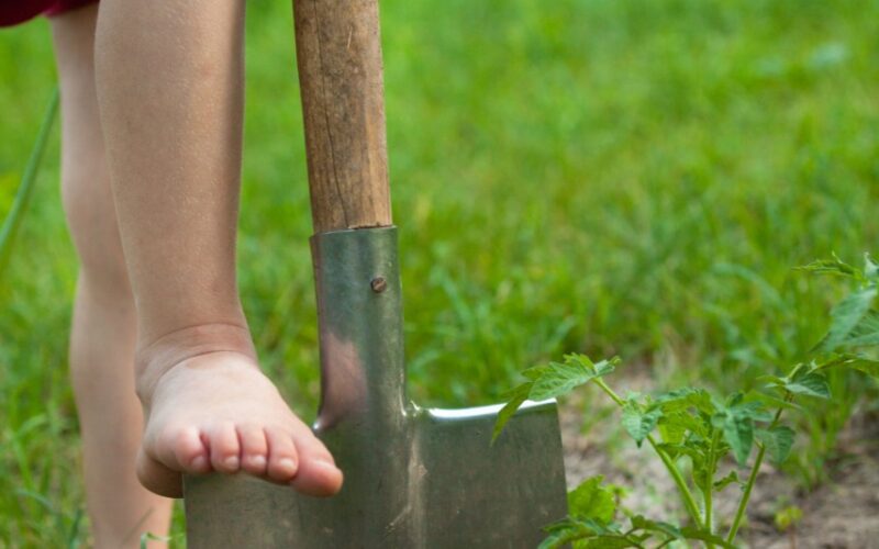 Possibilidade do reconhecimento de período de trabalho rural de menores de 12 anos para fins de aposentadoria.